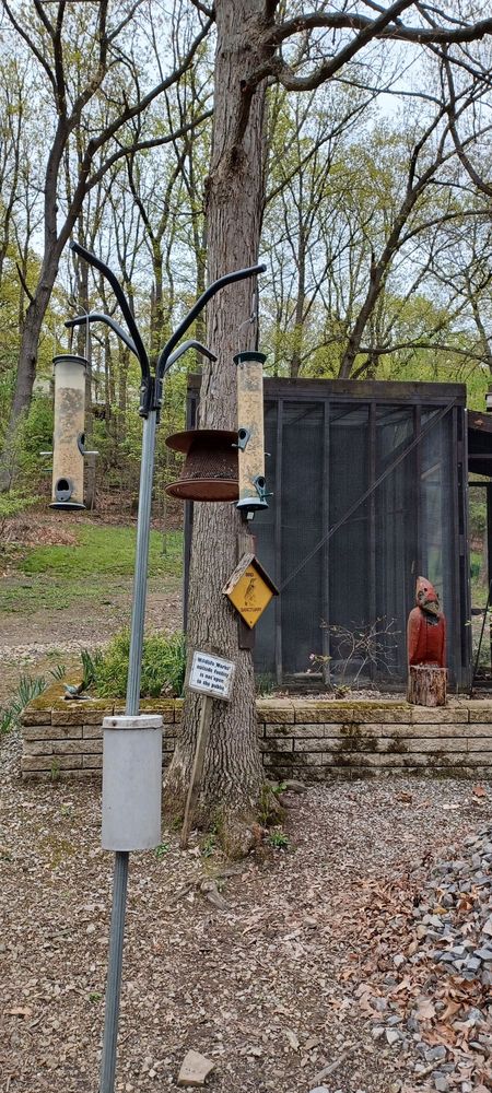 Wildlife Works - social services organization in Youngwood, PA