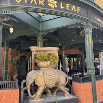 Star Leaf - Asian Fusion Near Me - Pasadena, California Star Leaf - Asian Fusion Near Me - Pasadena, California