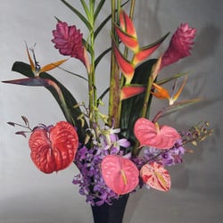 Hawaiian Magic Tropical Flowers - An exotic growers mix of Anthuriums, Ginger, Birds of Paradise, Heliconia, Proteas or orchids make up this eye-catching growers