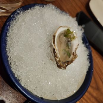 Uchi Miami - Eastcoast oyster - Asian Fusion Near Me - Miami, Florida