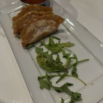 The Office Lounge Dovah - Veg Gyoza appetizer (comes with 6) - left under the heat lamp too long? - Lounges Near Me - Dover, New Hampshire