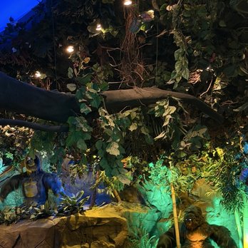 Rainforest Cafe - American Near Me - Ontario, California Rainforest Cafe - American Near Me - Ontario, California
