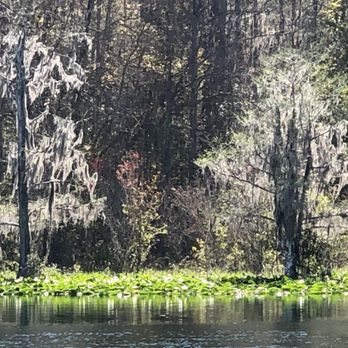 Singing River Tours - Tours Near Me - Dunnellon, Florida Singing River Tours - Tours Near Me - Dunnellon, Florida