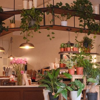 Green Haus Cafe - Interior - Cafes Near Me - Boston, Massachusetts