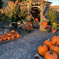 Sycamore Springs "Home & Garden"