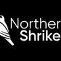 Photo of Northern Shrike