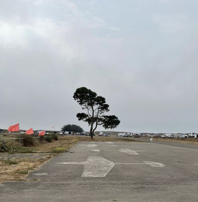 Humboldt Bay Social Club by null