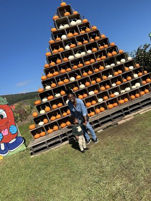 Catoctin Mountain Orchard by null