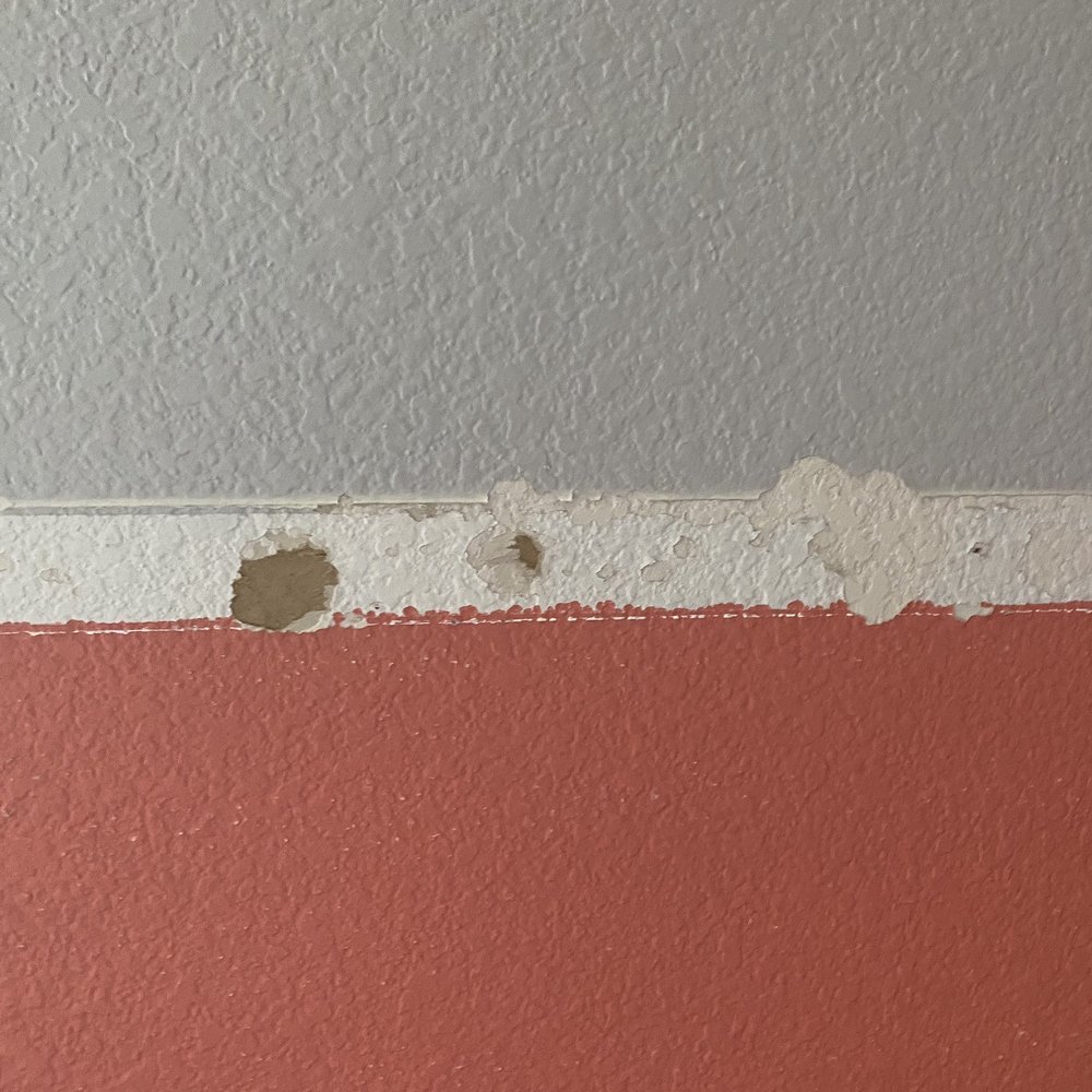 Shamrock Drywall Restoration - a close up of a drywall - Drywall Installation & Repair Near Me - Princeton, Texas Shamrock Drywall Restoration - a close up of a drywall - Drywall Installation & Repair Near Me - Princeton, Texas