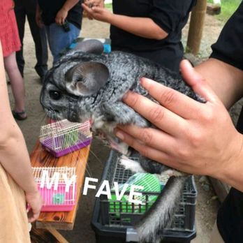 Reptacular Animals - Guest photos from the wedding. Snapchat loves this place. - Party & Event Planning Near Me - Sun Valley, California Reptacular Animals - Guest photos from the wedding. Snapchat loves this place. - Party & Event Planning Near Me - Sun Valley, California