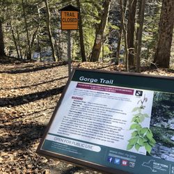 Salmon River Falls