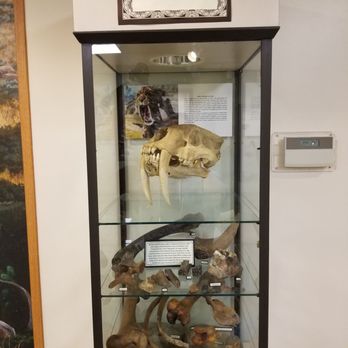 Big Bone Lick State Historic Site - In museum - Parks Near Me - Union, Kentucky