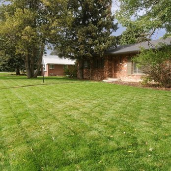 Just Sod - 4 months later.....impeccable yard thanks to high quality sod, service, and irrigation install by Just Sod! - Landscaping Near Me Just Sod - 4 months later.....impeccable yard thanks to high quality sod, service, and irrigation install by Just Sod! - Landscaping Near Me