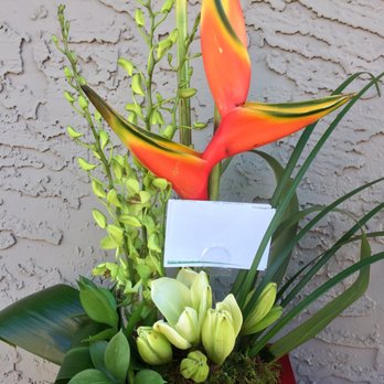 AZ Florist - Can't wait to see these bloom! - Florists Near Me - Phoenix, Arizona