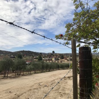 Hacienda la Lomita - View from the grounds - Wineries Near Me - Ensenada, BCN Hacienda la Lomita - View from the grounds - Wineries Near Me - Ensenada, BCN