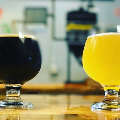 Yampa Valley Brewing Company by null