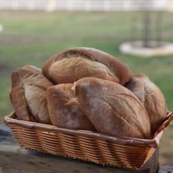 Nacho's Bakery - White bread "Bolillo