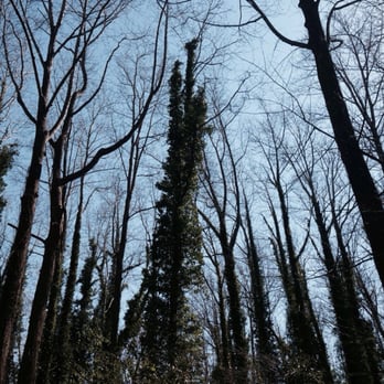 Chesapeake Arboretum - Parks Near Me - Chesapeake, Virginia