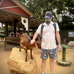 Petting zoo Petting zoo