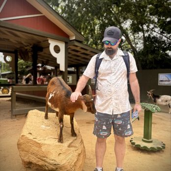 Wild Adventures Theme Park - Petting zoo - Zoos Near Me - Valdosta, Georgia Wild Adventures Theme Park - Petting zoo - Zoos Near Me - Valdosta, Georgia