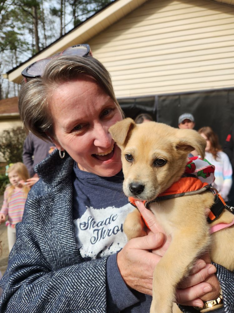 LAZY DAYS DOG BOARDING Updated September 2024 17 Photos 1003