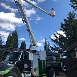Anchor-Point Tree Services
