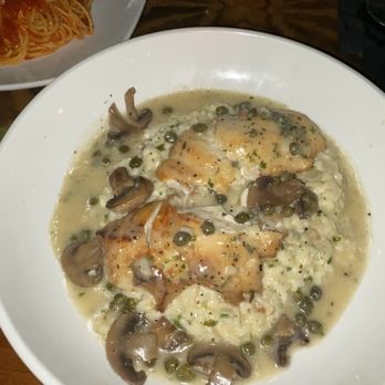Cafe Murano - A white wine fish special was amazing - Italian Near Me - Altamonte Springs, Florida Cafe Murano - A white wine fish special was amazing - Italian Near Me - Altamonte Springs, Florida