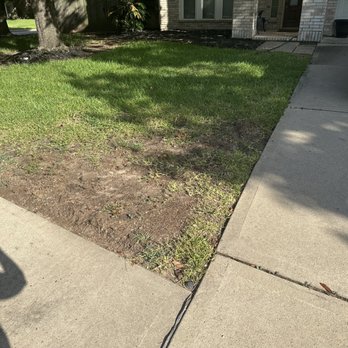 TruGreen Lawn Care - Tree Services Near Me - Houston, Texas TruGreen Lawn Care - Tree Services Near Me - Houston, Texas