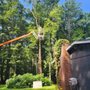 Photo of C&P Lawn Care