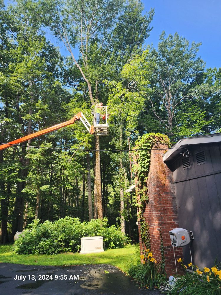 C&P Lawn Care - tree service in New Gloucester , ME