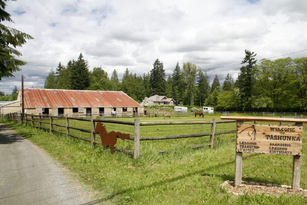 Cosette Parker - equestrian in Redmond, WA