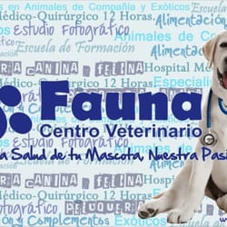 Clínica Veterinaria Fauna - www.cvfauna.es