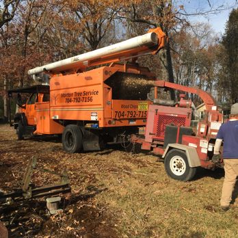 Morton Tree - Tree Services Near Me - Albemarle, North Carolina Morton Tree - Tree Services Near Me - Albemarle, North Carolina