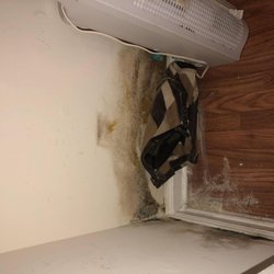 Carrington Point Apt - MOLD !