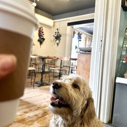 Cafe Mulligan