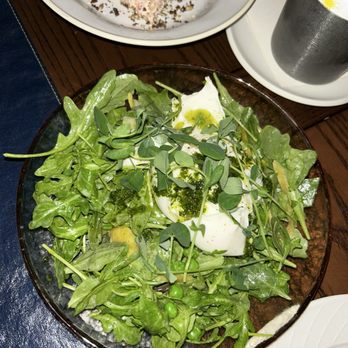 Perseid - Burrata salad, least favorite - Breakfast & Brunch Near Me - Houston, Texas Perseid - Burrata salad, least favorite - Breakfast & Brunch Near Me - Houston, Texas