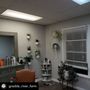 Photo of Gloss Salon