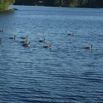 Cochituate State Park - Parks Near Me - Natick, Massachusetts