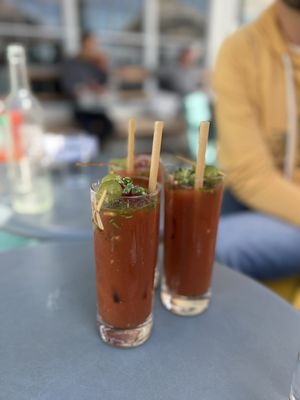 Hog Island Larkspur by null