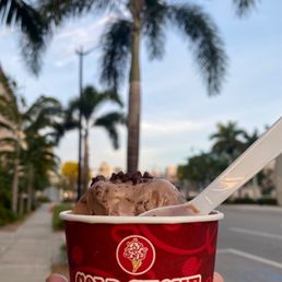 a hand holding a cup of ice cream