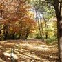 Caldwell Nature Center