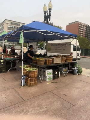 Copley Square Farmers Market by null