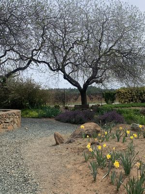 Amador Flower Farm by null