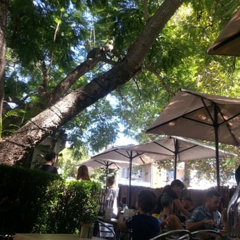 Envy Cafe & Gallery - Shady Jacaranda - Restaurants Near Me - Summer Hill, NSW