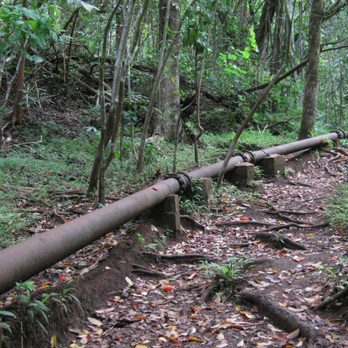 Ka'au Crater - Follow the large pipe and the trail! - Hiking Near Me - Honolulu, Hawaii