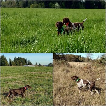 Companion Pet Clinic-Aloha - Veterinarians Near Me - Aloha, Oregon Companion Pet Clinic-Aloha - Veterinarians Near Me - Aloha, Oregon