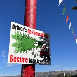 Battaglia Ranch Christmas Tree Farm - Make sure to tie it on well!