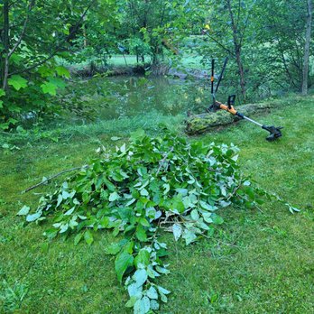 Simple Green Lawn Care - SR-530 B & B, opening up the pond area. Over grown all the way around. Now you can see the pond.. - Lawn Services Near Me - Concrete, Washington Simple Green Lawn Care - SR-530 B & B, opening up the pond area. Over grown all the way around. Now you can see the pond.. - Lawn Services Near Me - Concrete, Washington