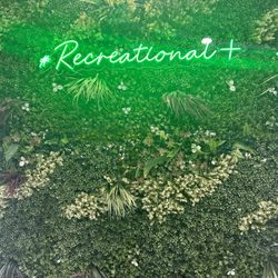 Recreational Plus East Village - #tagme