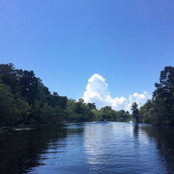 Ultimate Swamp Adventures - View - Tours Near Me - Westwego, Louisiana Ultimate Swamp Adventures - View - Tours Near Me - Westwego, Louisiana